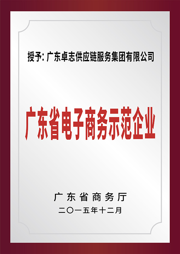 广东省电子商务示范企业